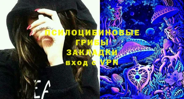 гидропоника Бугульма